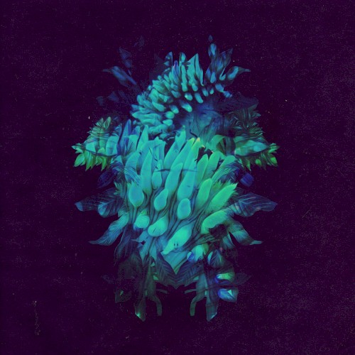 Pochette de All Glows par Fakear