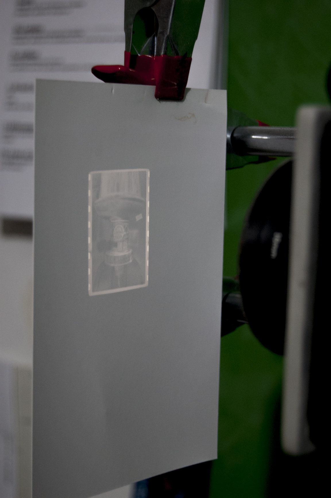 Détail d'une pellicule numérisée à 16 MP