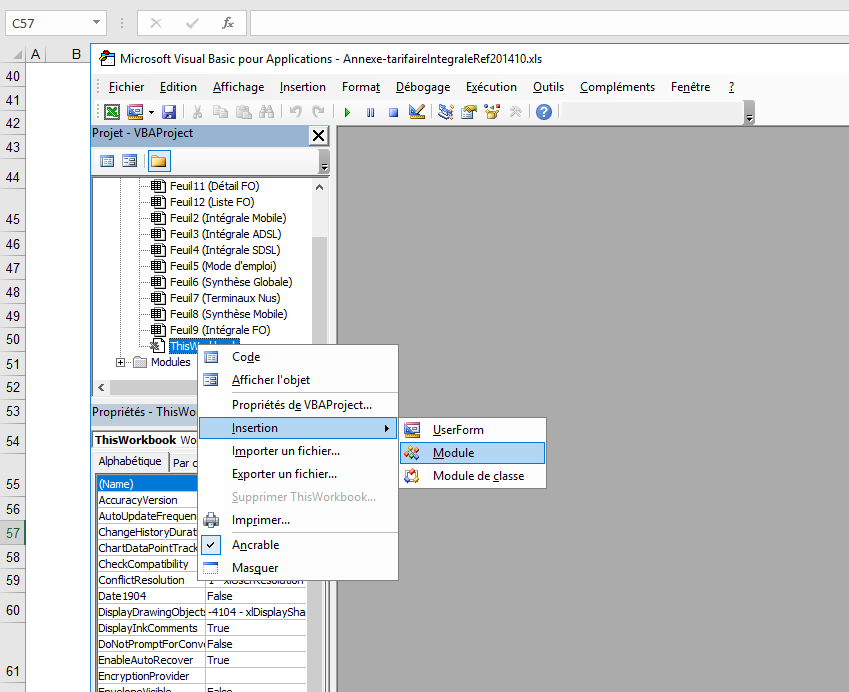 Insertion d'un module dans le projet VBA