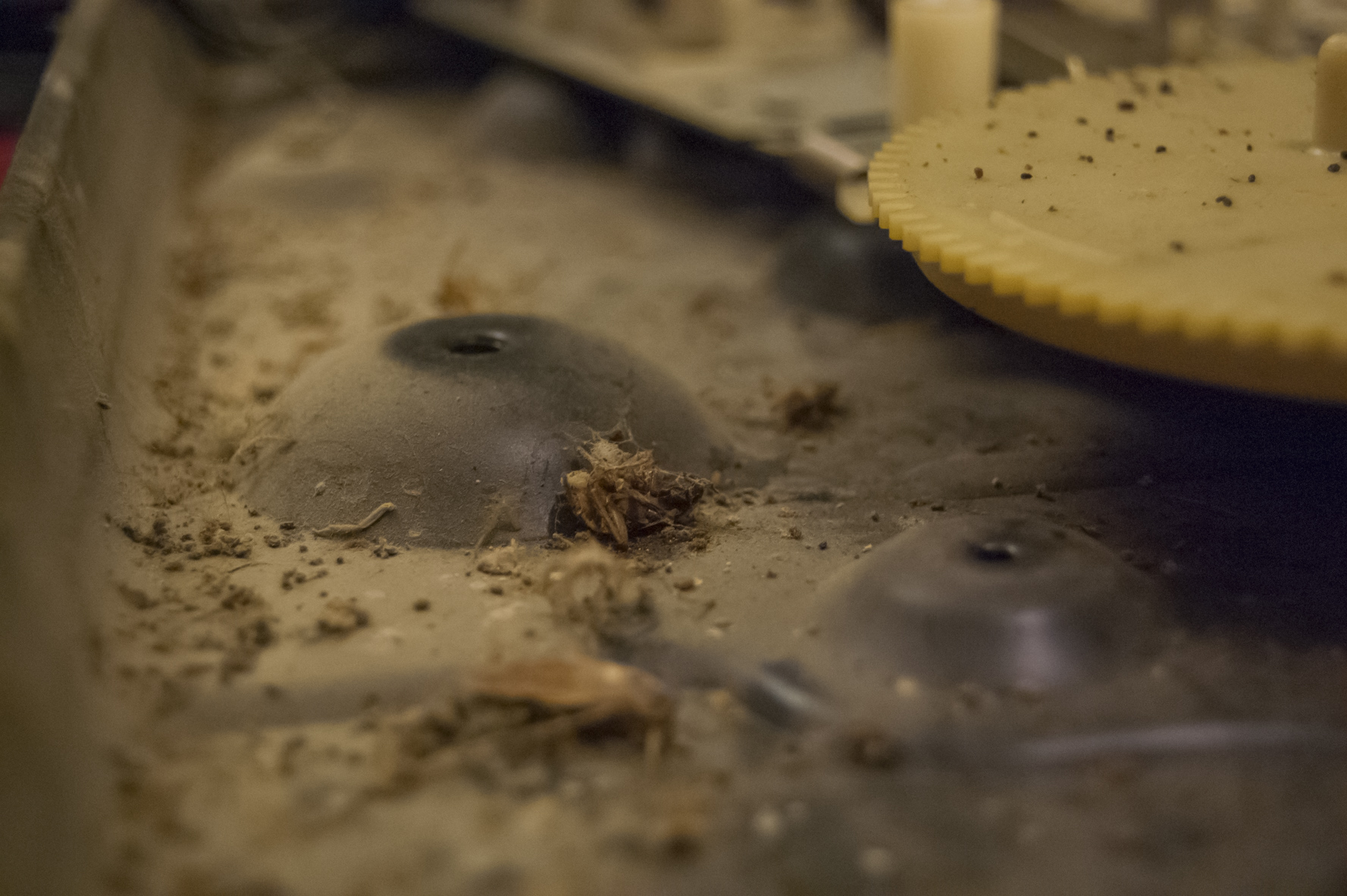 Dessous de la platine - état avant nettoyage