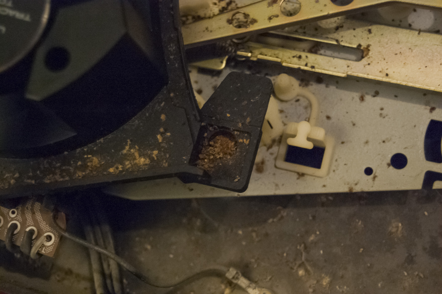 État général avant nettoyage complet